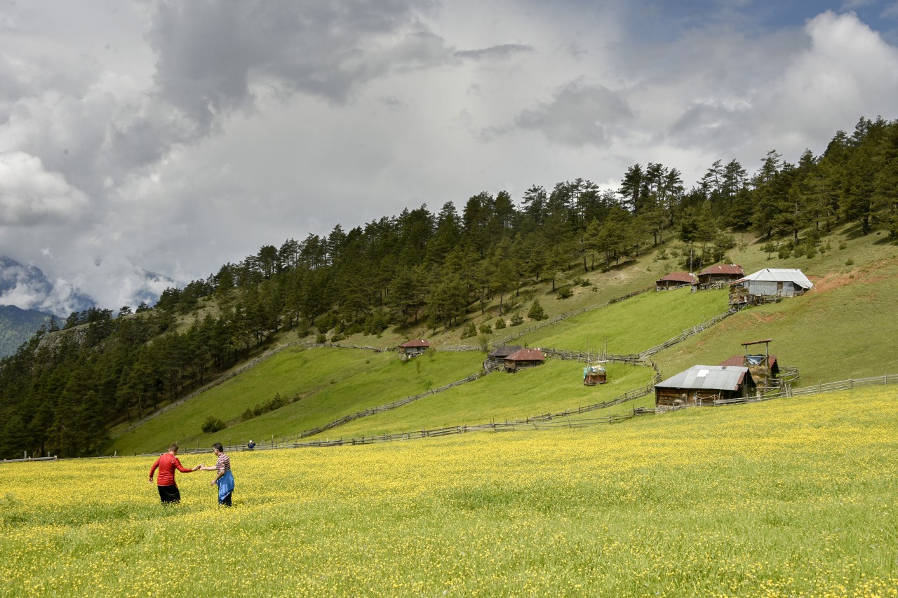 Gümüşhaneli dağcılar aynı günde 4 yaylayı gezdi 4