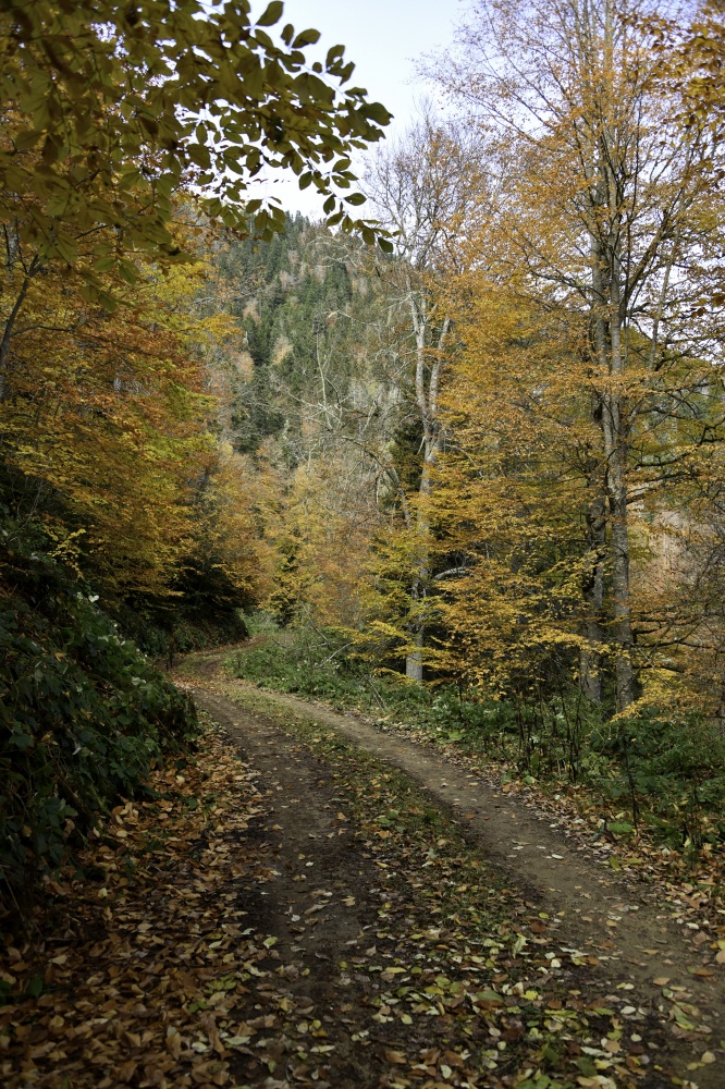 Gümüşhaneli dağcılardan en güzel sonbahar yürüyüşü 43