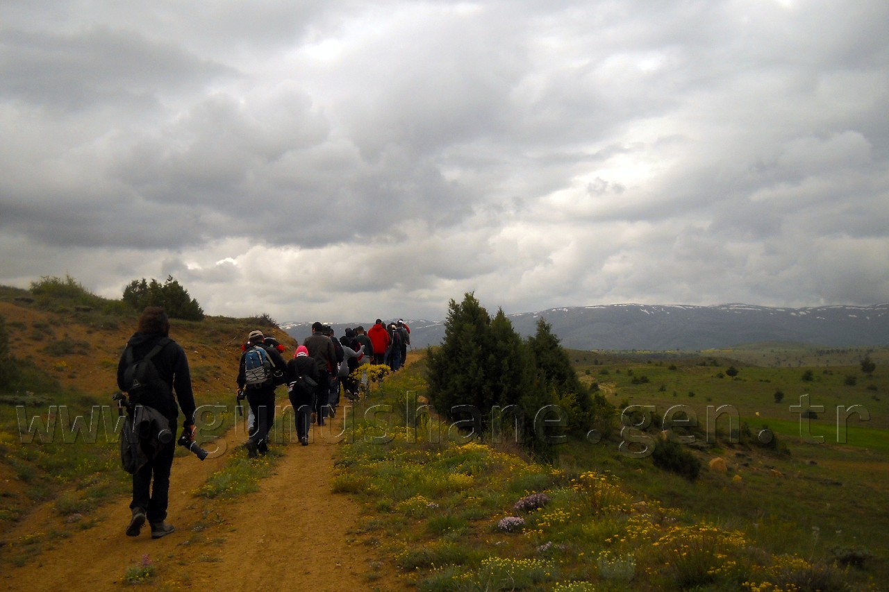 Gümüşhaneli Dağcılar Tomara'da 11