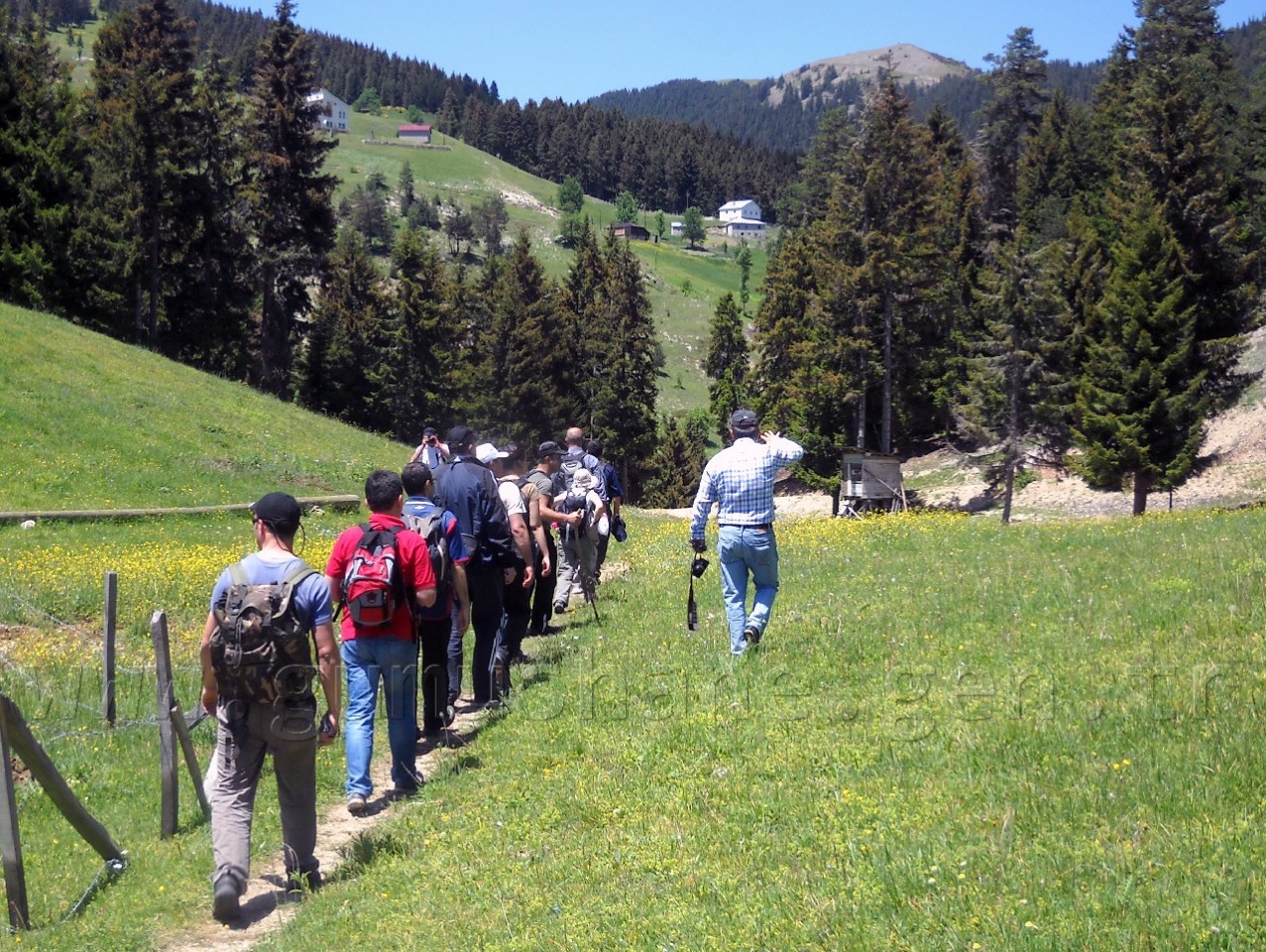 Gümüşhaneli Dağcılar Erikbeli Yaylasında 4