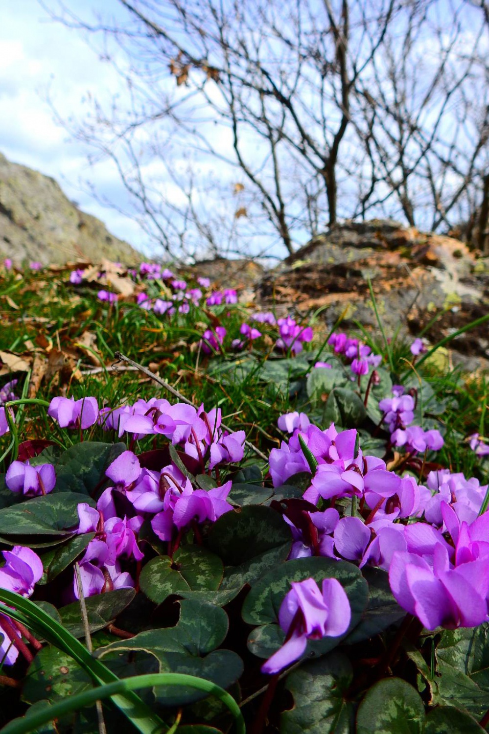 Gümüşhane’de bahara merhaba yürüyüşü 8