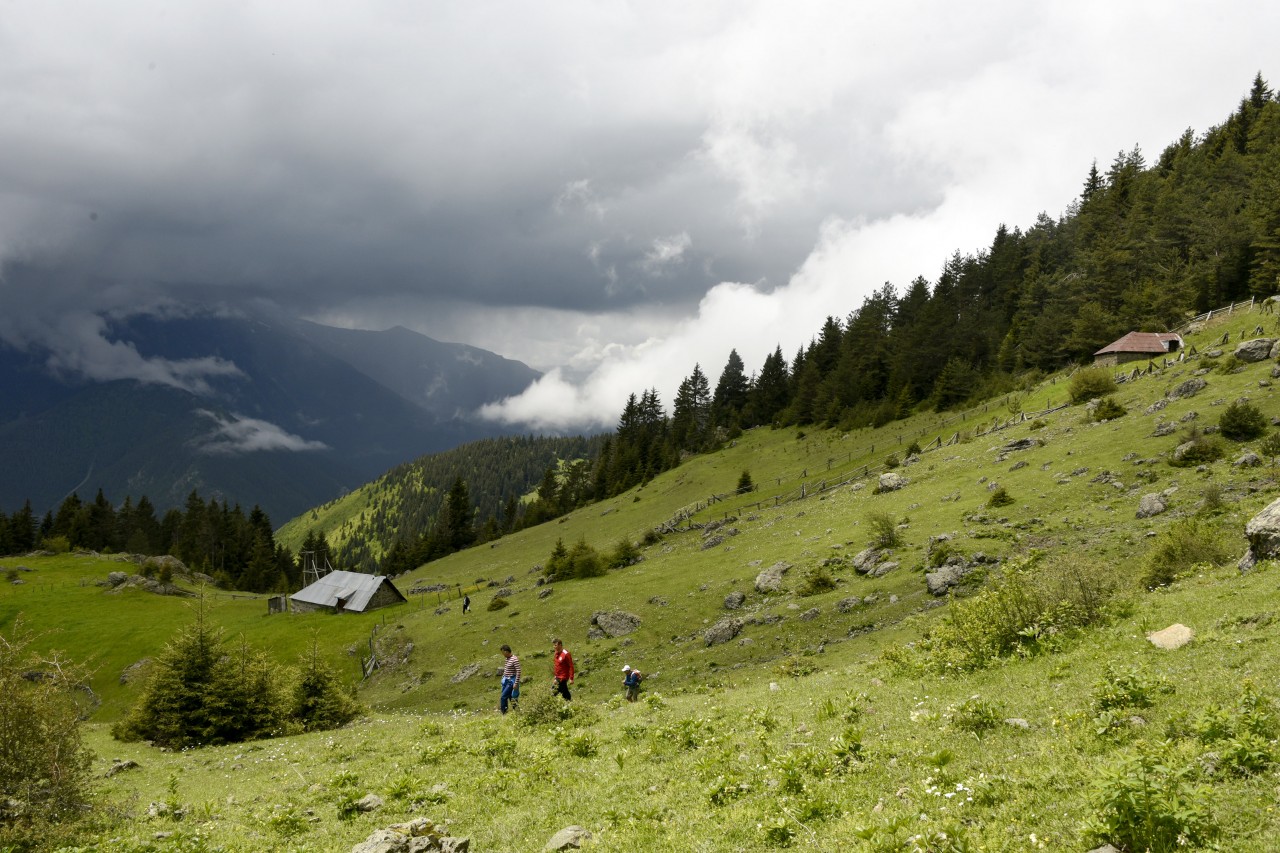 Gümüşhaneli dağcılar aynı günde 4 yaylayı gezdi 6