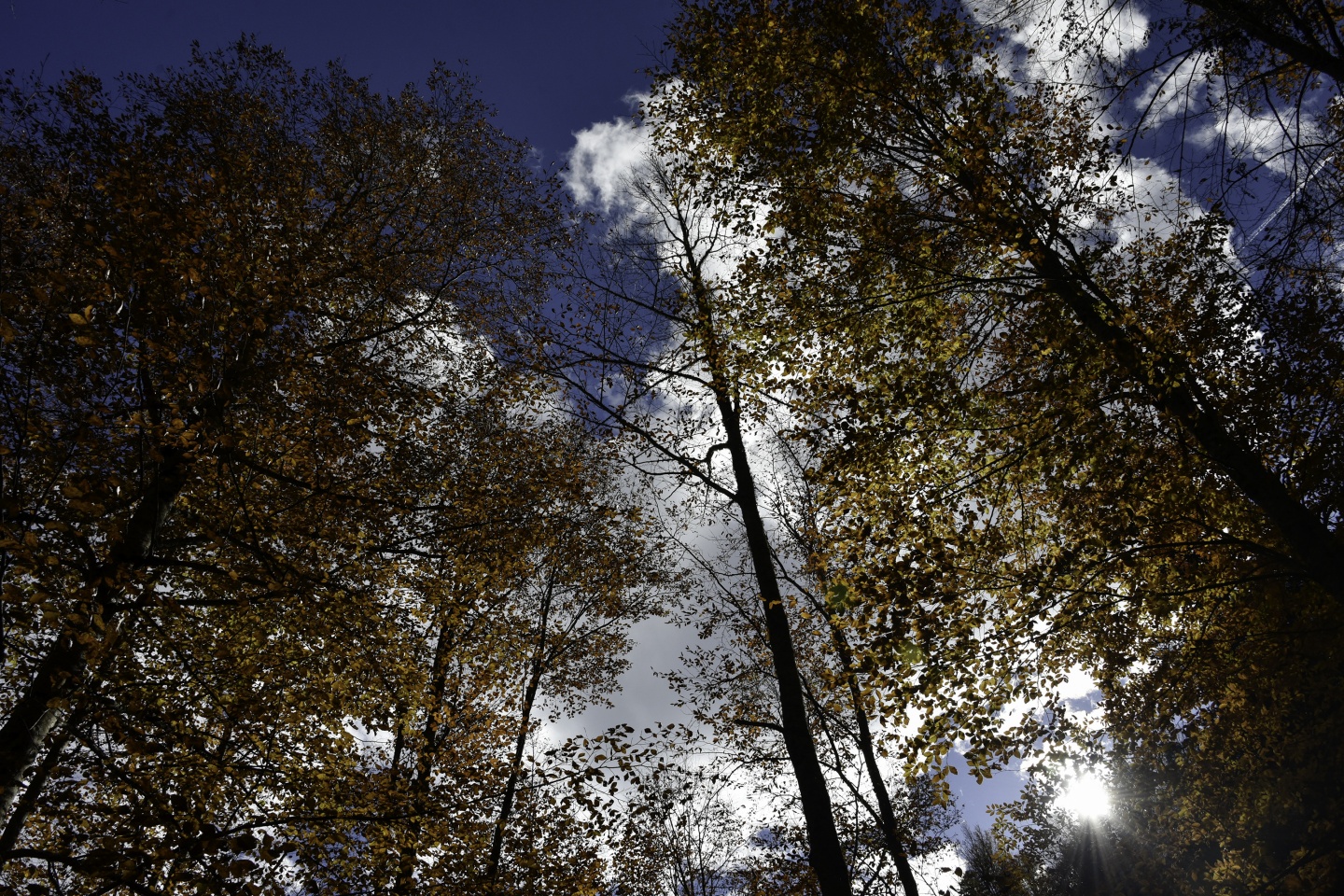 Gümüşhaneli dağcılardan en güzel sonbahar yürüyüşü 92