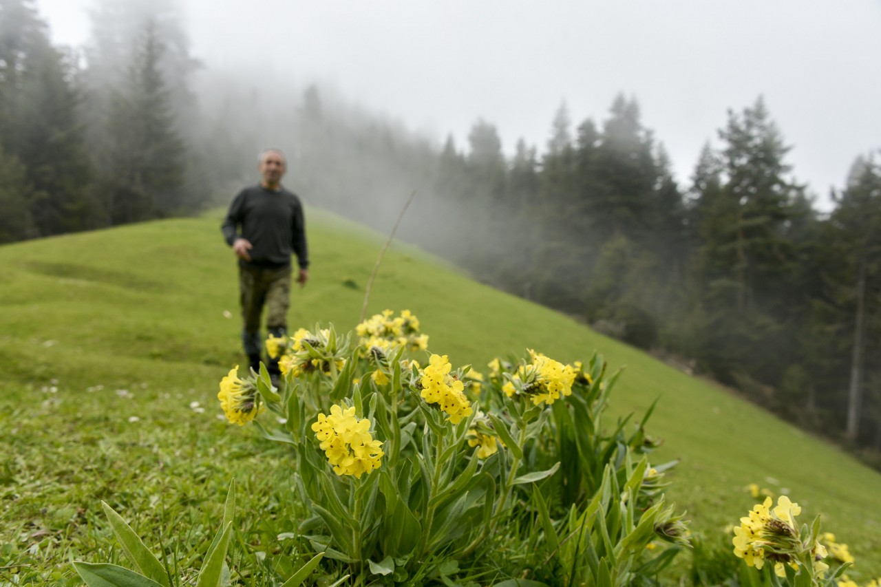 Gümüşhaneli dağcılar aynı günde 4 yaylayı gezdi 7
