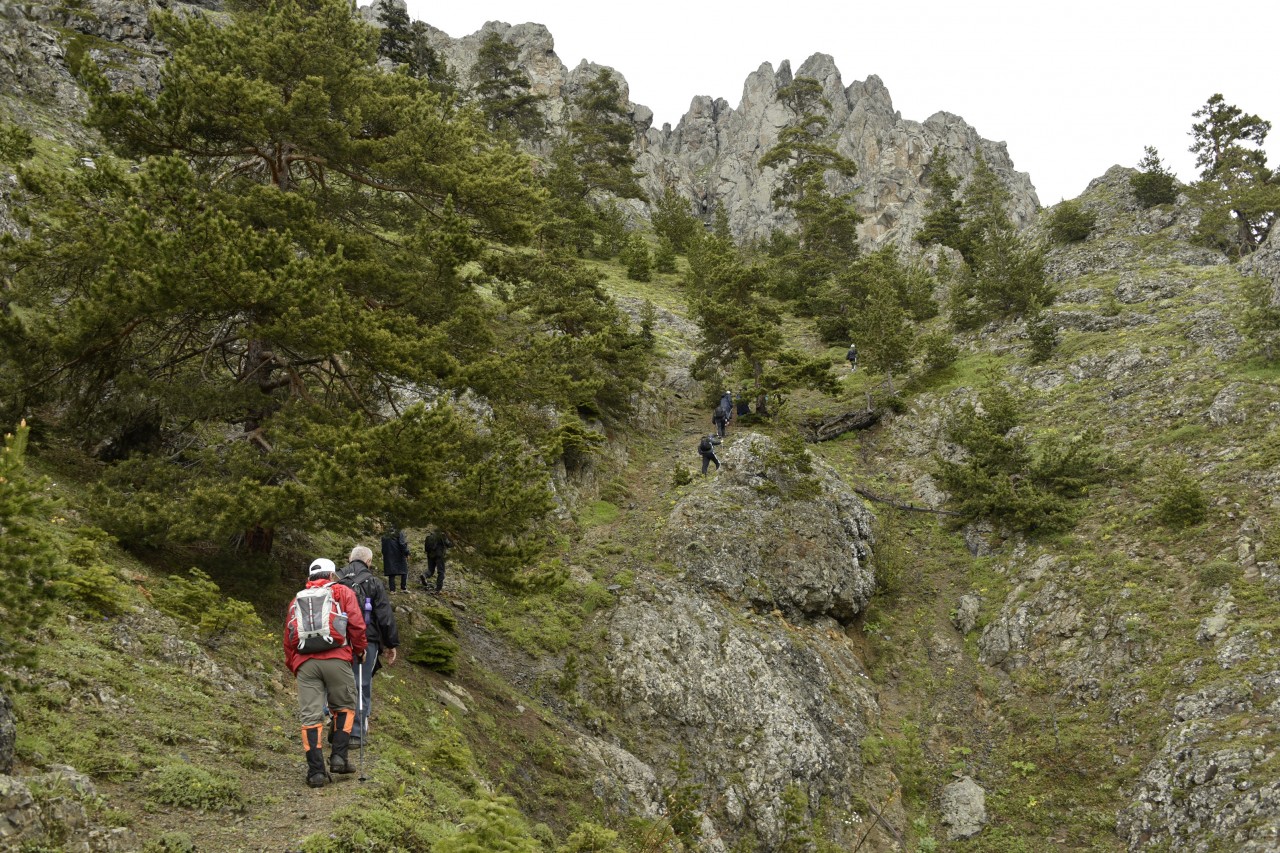 Gümüşhaneli dağcılar aynı günde 4 yaylayı gezdi 8