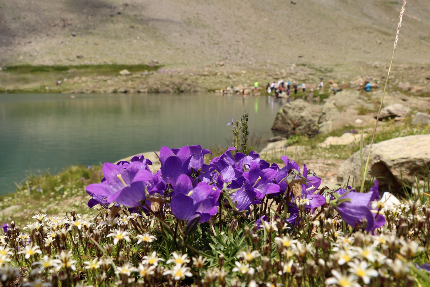 Yüksek zirvelerin cenneti: Artabel Gölleri Tabiat Parkı 14