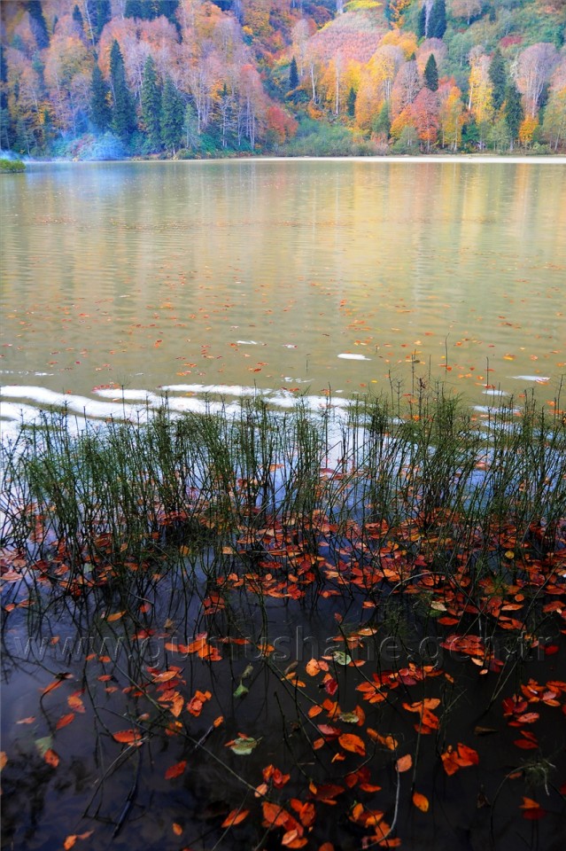 Gümüşhaneli Dağcılar Karagöl'de Kamp Kurdu 7