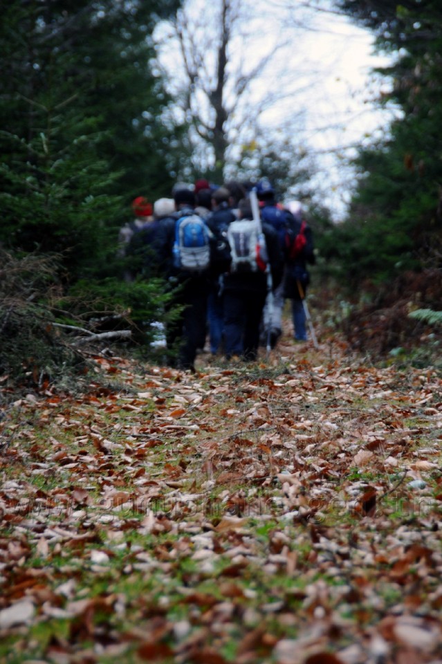 Gümüşhaneli Dağcılar Barış İçin Yürüdü 3