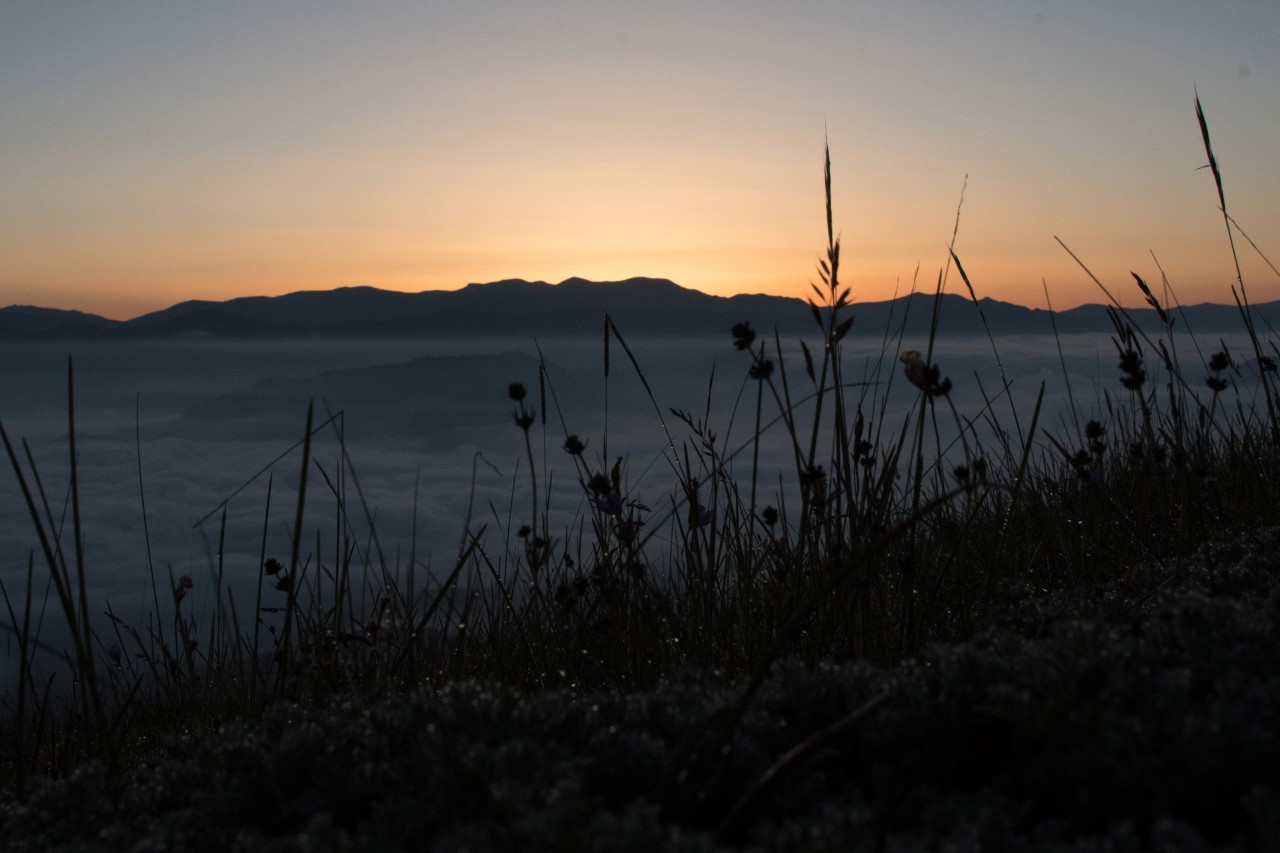 Bu manzara için bin kilometreden gelip sabaha kadar beklediler 13