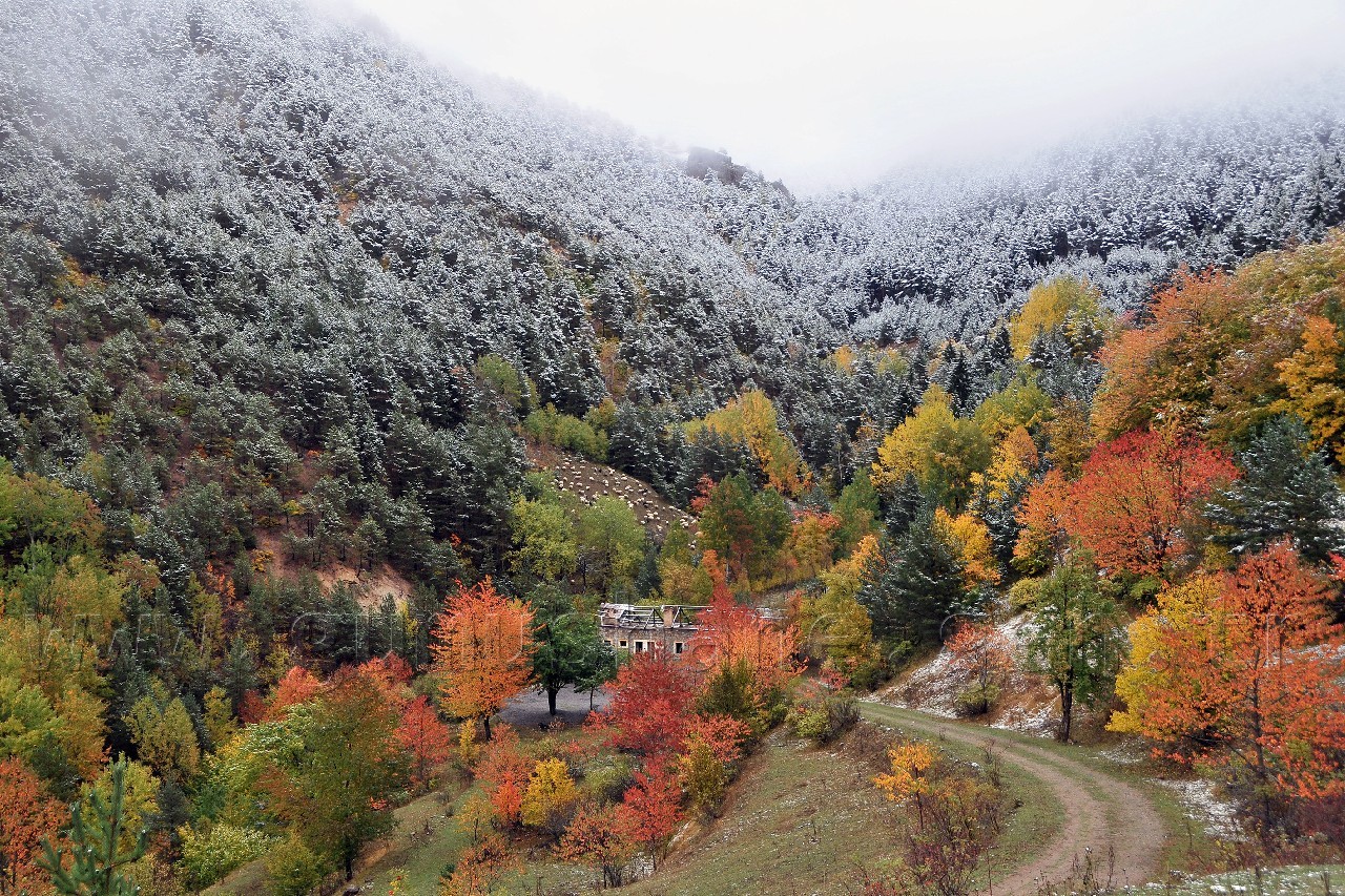 Gümüşhane'de Beyaz Güzellik 1