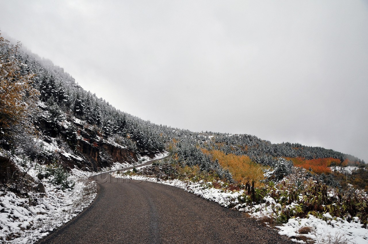 Gümüşhane'de Beyaz Güzellik 6