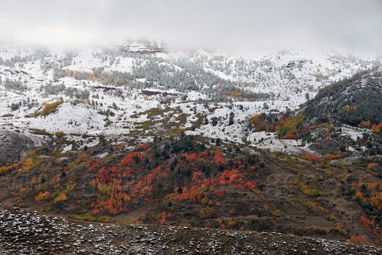 Gümüşhane'de Beyaz Güzellik 7