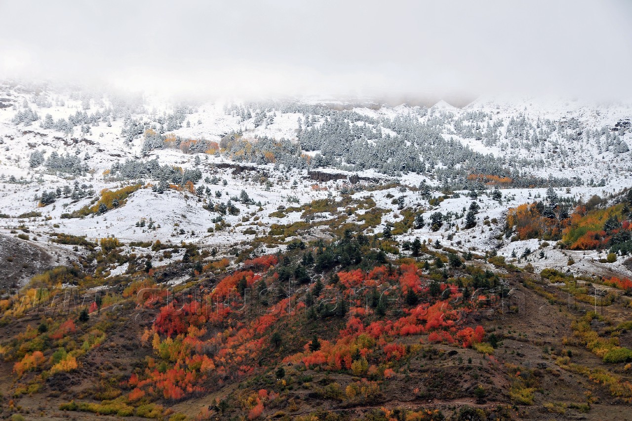 Gümüşhane'de Beyaz Güzellik 9