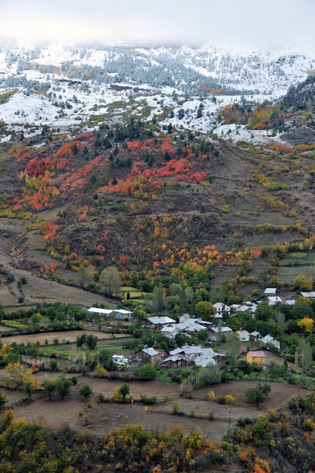 Gümüşhane'de Beyaz Güzellik 8