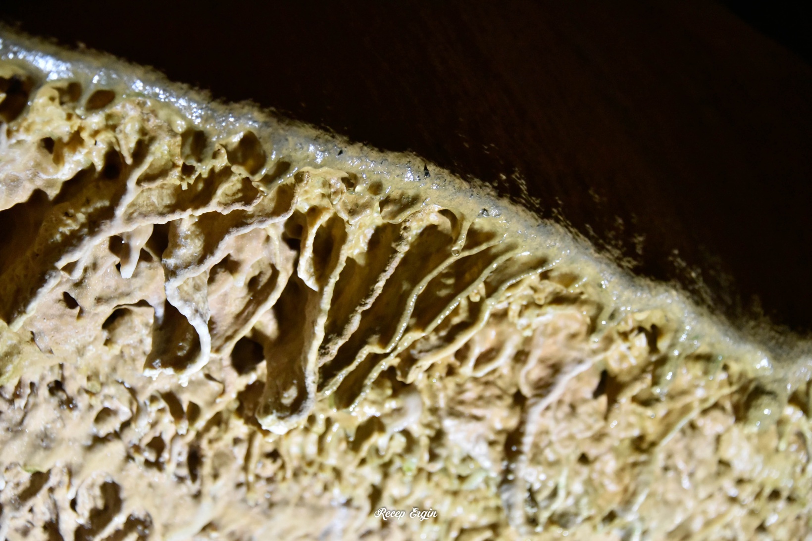 Gümüşhane’nin yeraltı sarayında sezon başladı   7