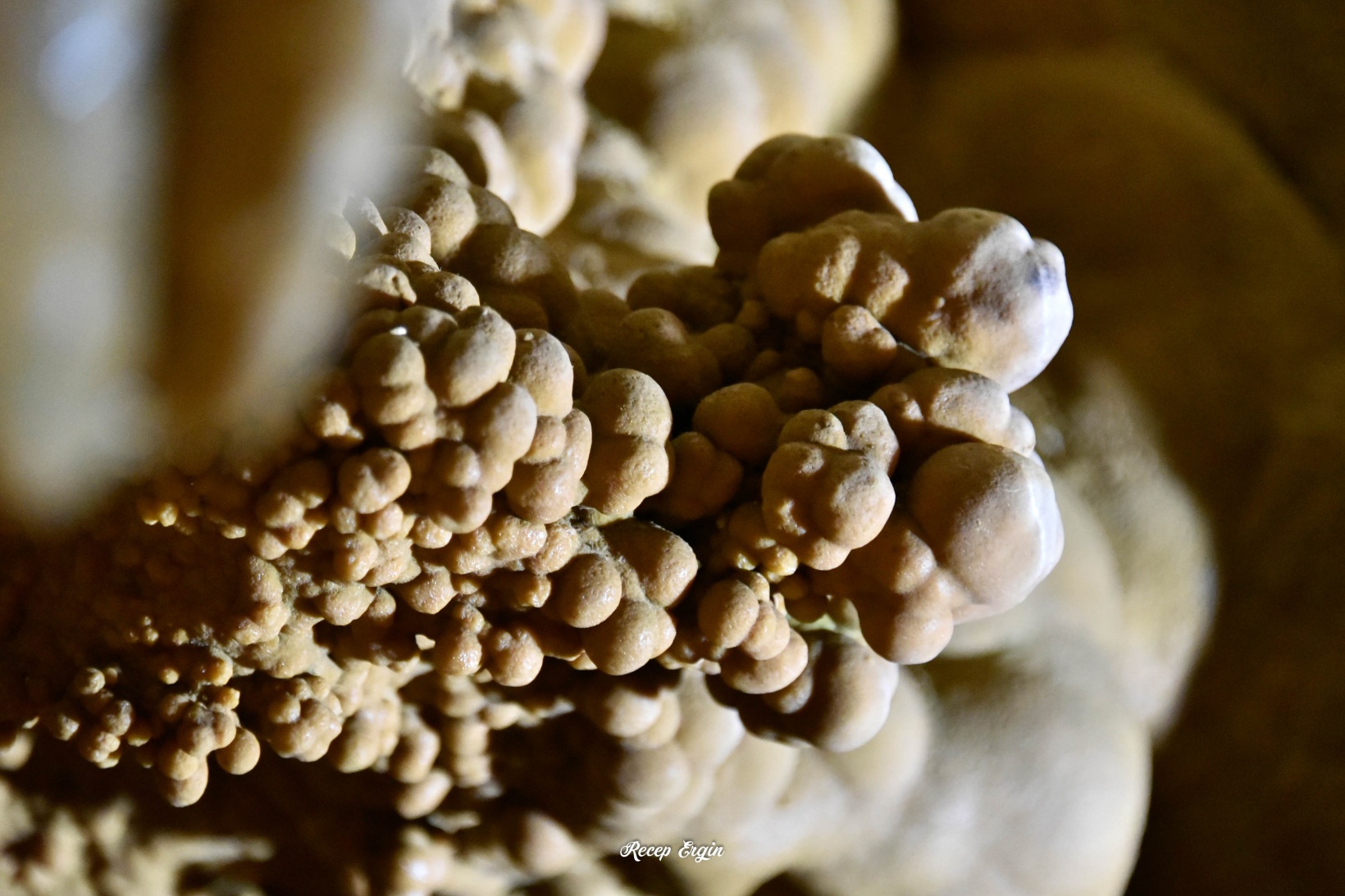 Gümüşhane’nin yeraltı sarayında sezon başladı   2