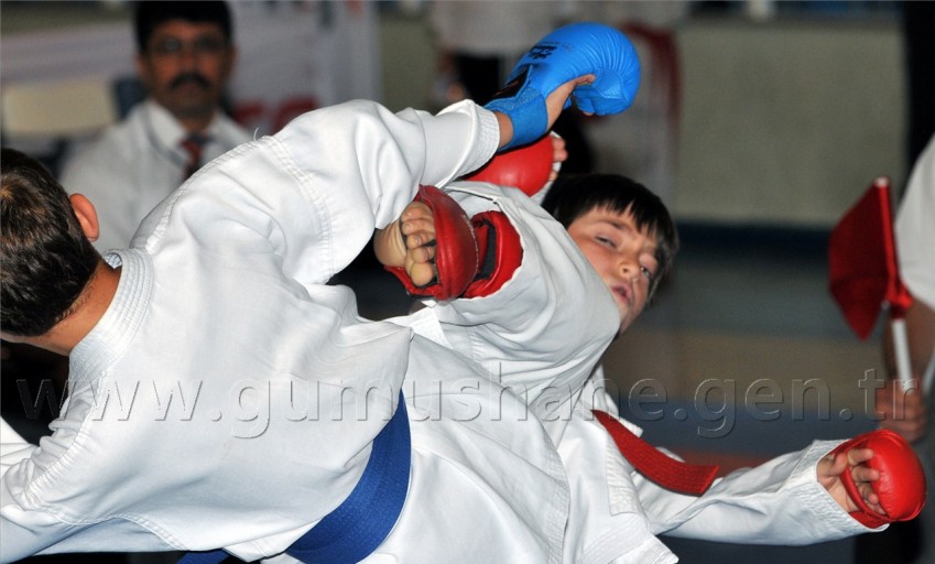 Türkiye Minikler Karate Şampiyonası 7