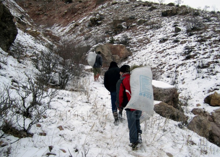 Gümüşhane'de Yaban Keçilerine Ot Bırakıldı 1