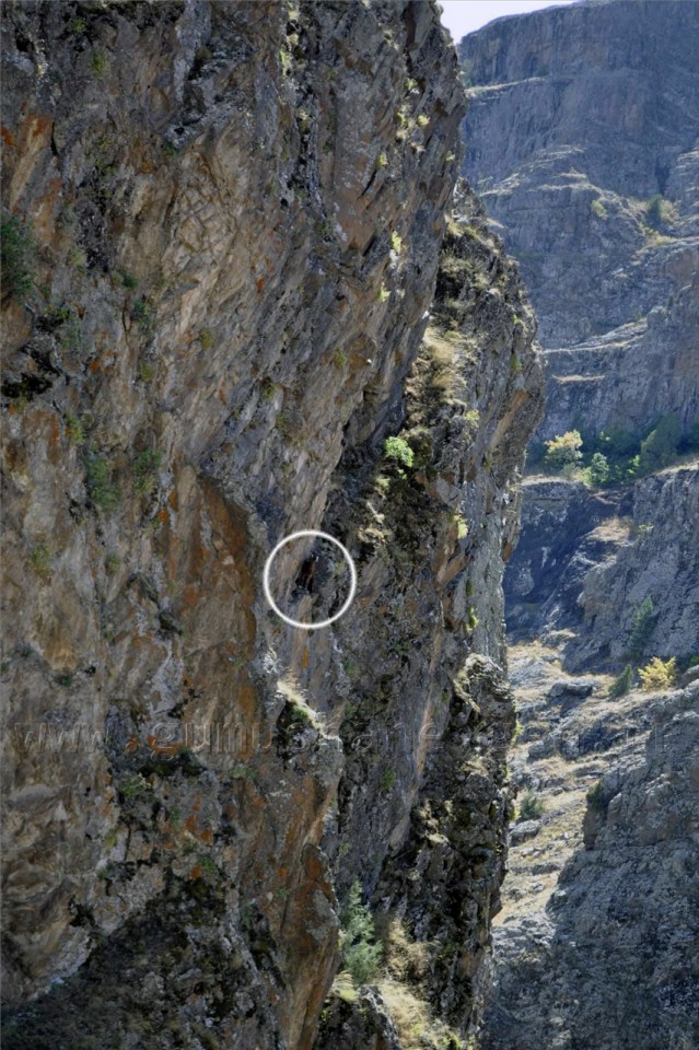 Ulukale'de Keçi Kurtarma Operasyonu 2