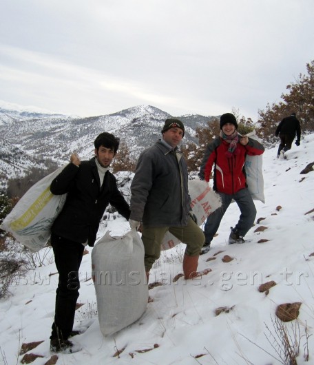 Gümüşhane'de Yaban Keçilerine Ot Bırakıldı 2