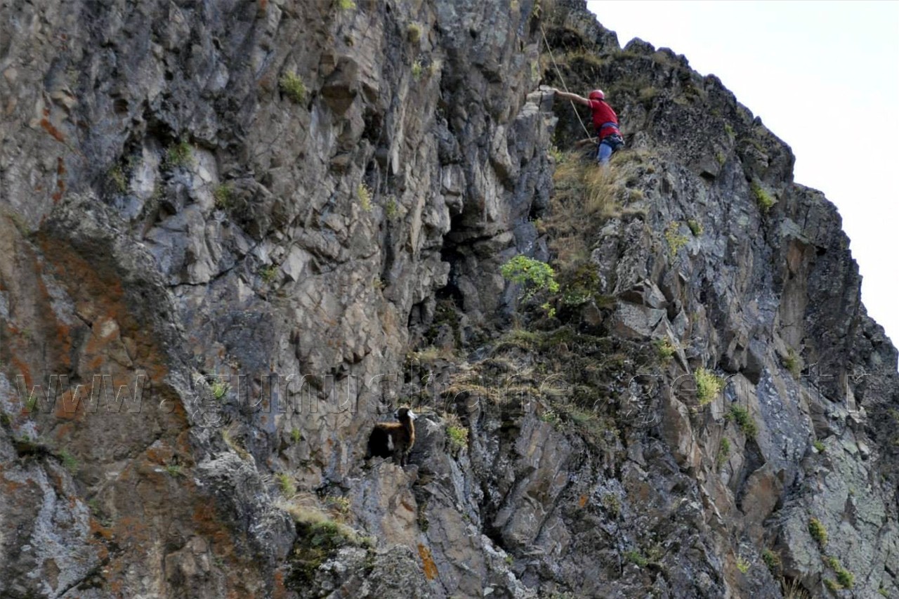 Ulukale'de Keçi Kurtarma Operasyonu 3