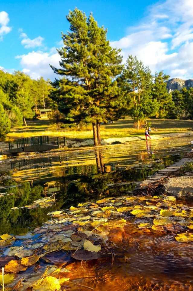 Kent Ormanından Sonbahar Manzaraları 2