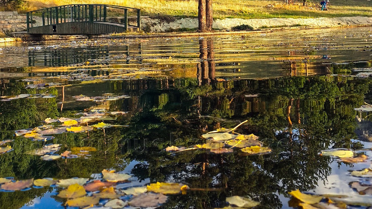 Kent Ormanından Sonbahar Manzaraları 5