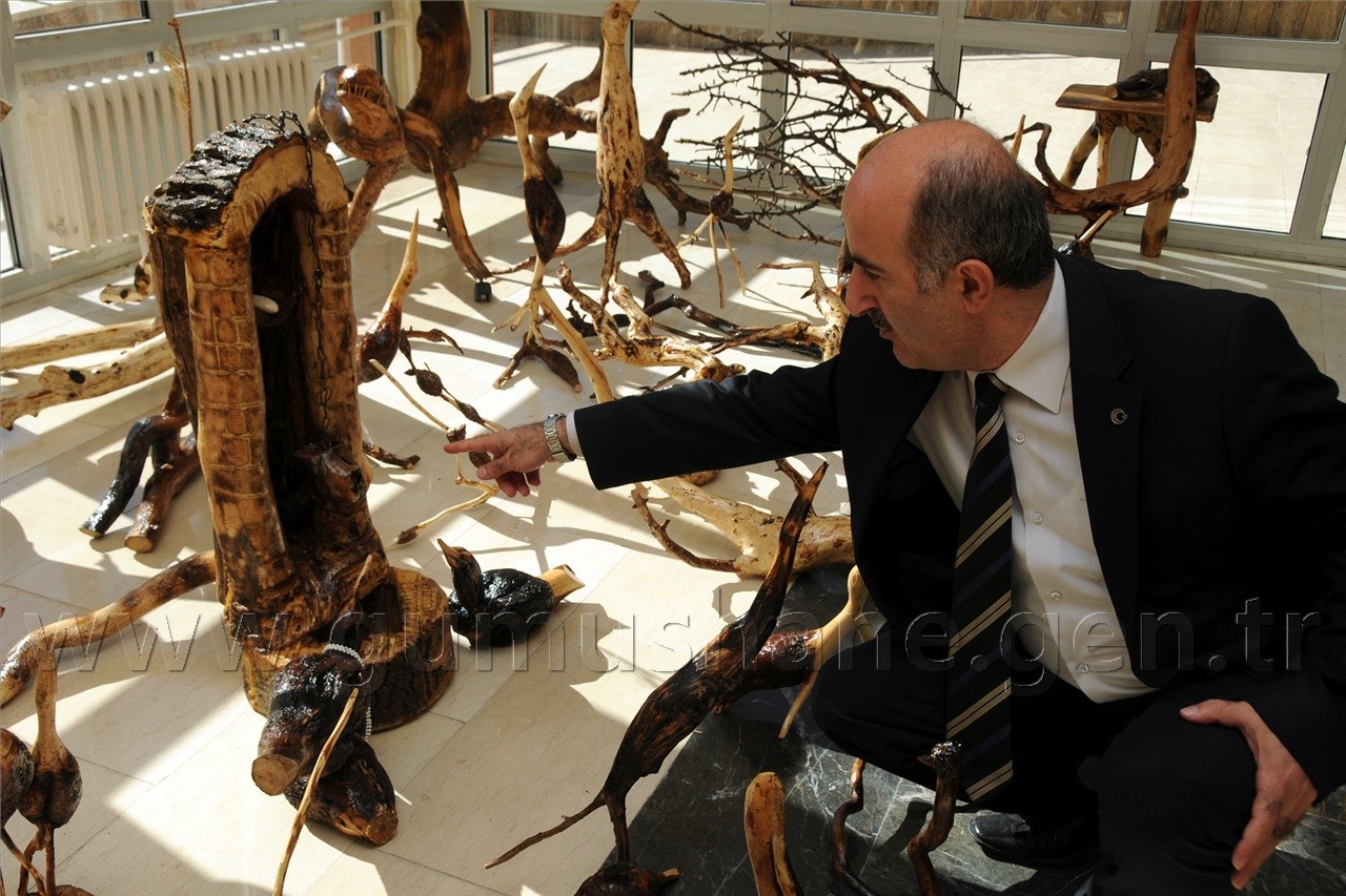 Ağaç Kökleri Gümüşhane Turizmine Kazandırılıyor 2