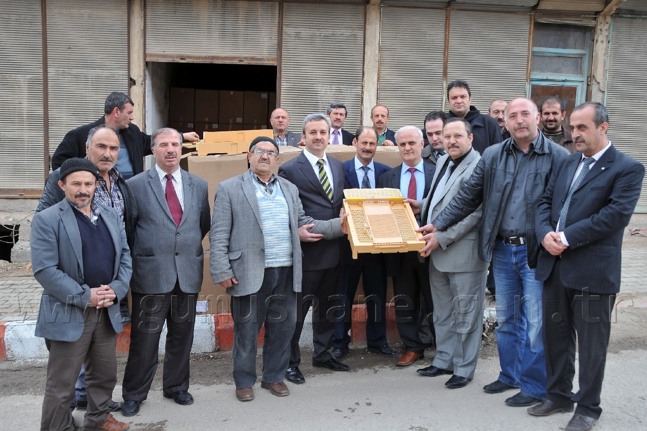 Gümüşhane'de 2013 Yılı Polen Yılı Olacak 1