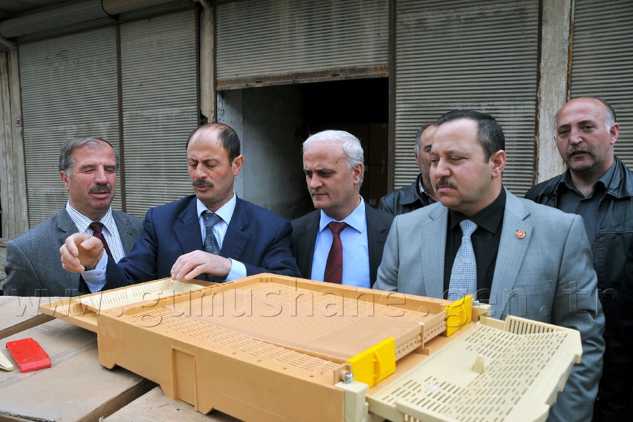 Gümüşhane'de 2013 Yılı Polen Yılı Olacak 3