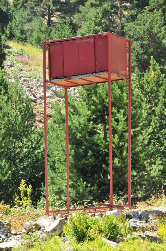 Arıcılardan Ayıya Karşı Kuleli Çözüm 1