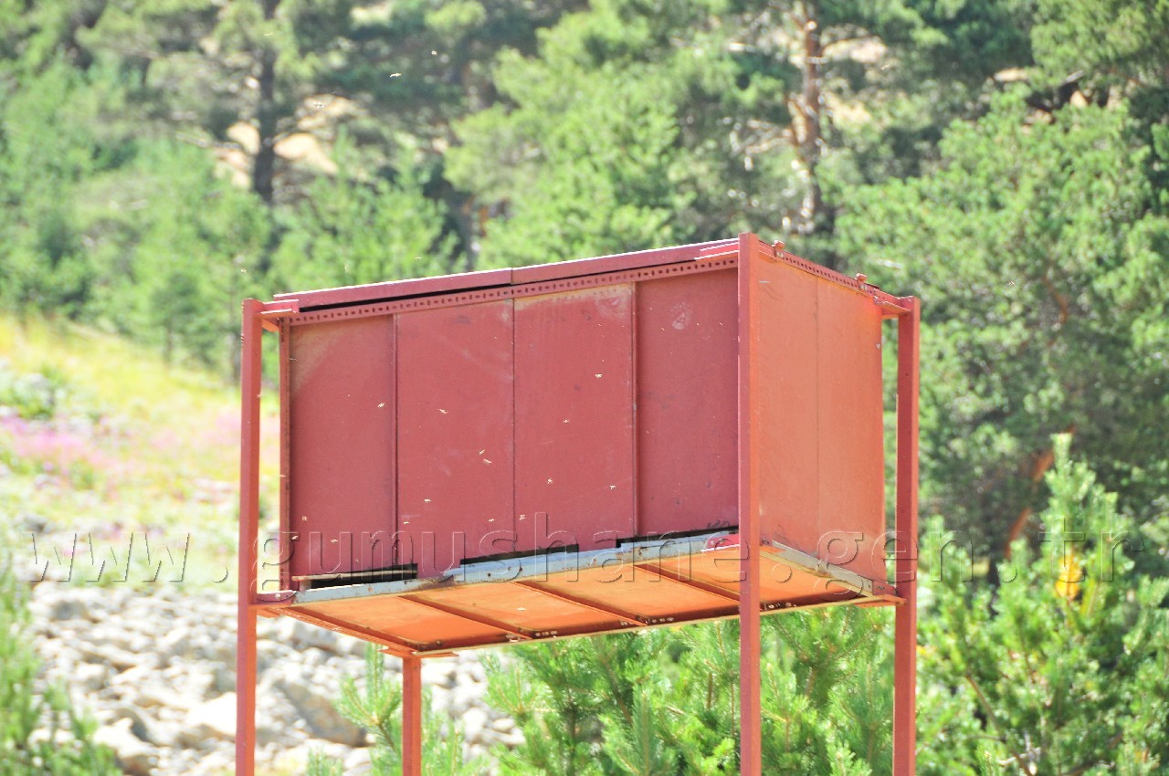 Arıcılardan Ayıya Karşı Kuleli Çözüm 2