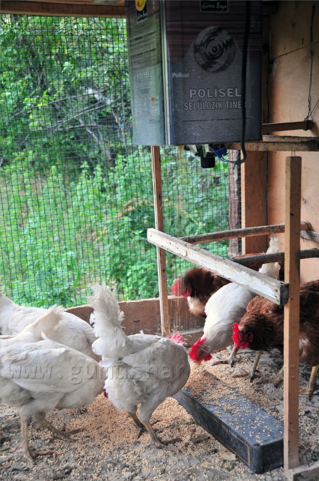 Akıllı Ev Olmayan Şehirde Akıllı Kümes Yaptı 7