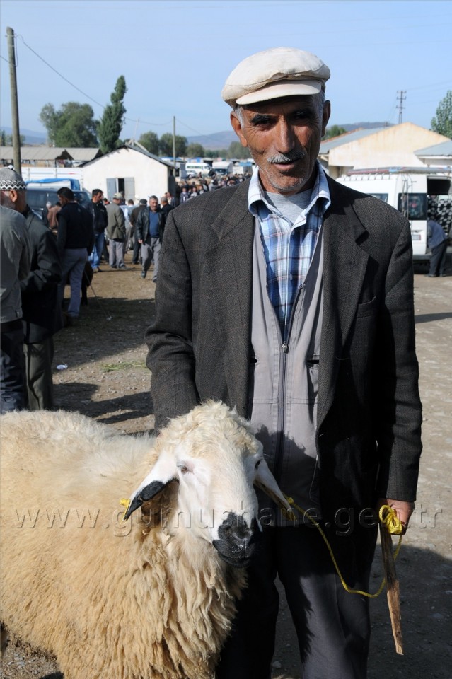 Kelkit'te Kurbanlıklar Görücüye Çıktı 5