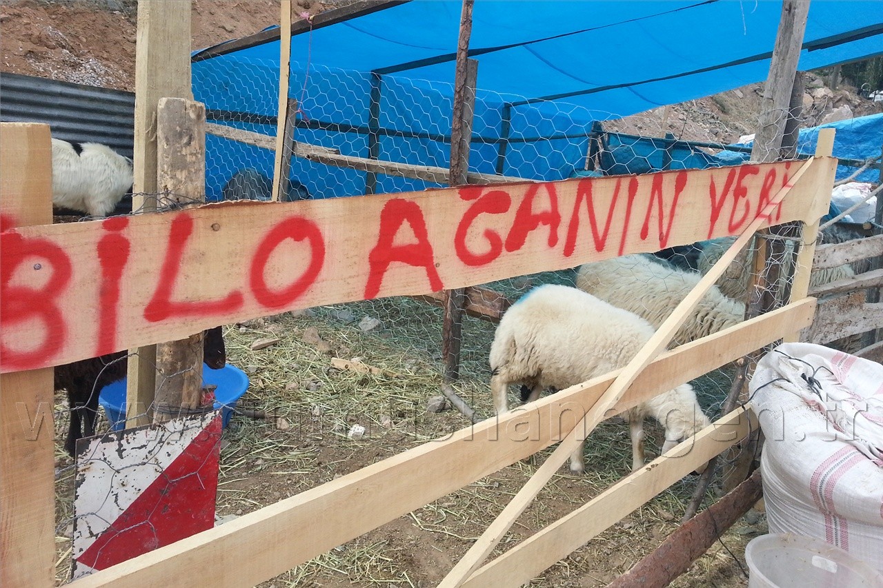 Kurban Pazarında Satıcı Çok, Alıcı Yok 4