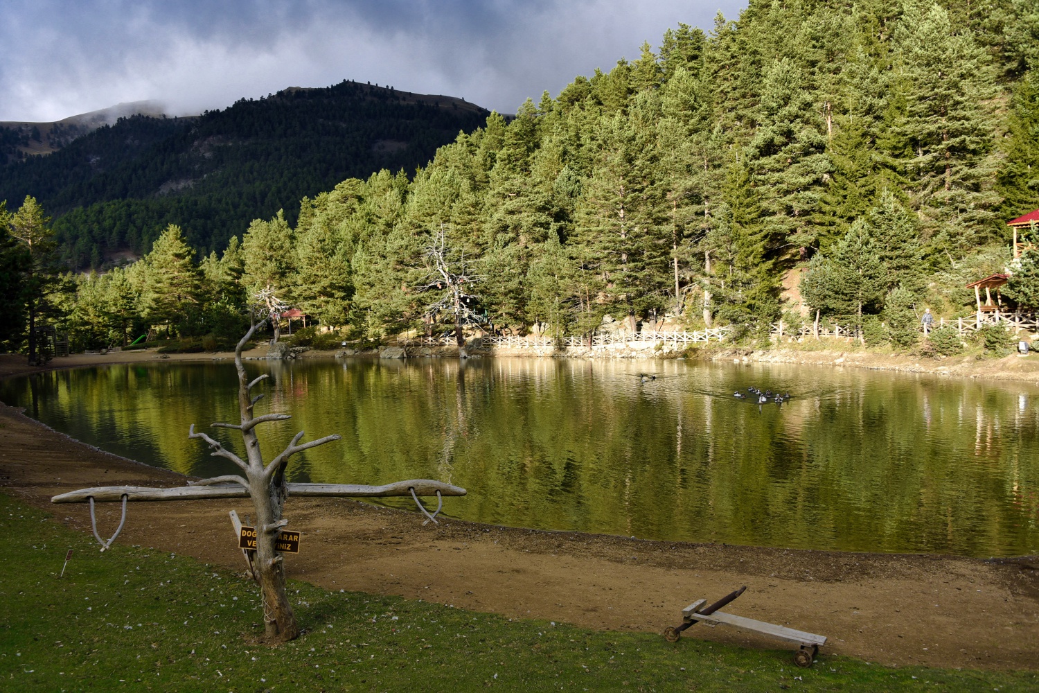 Limni Gölünde sonbahar yoğunluğu 26