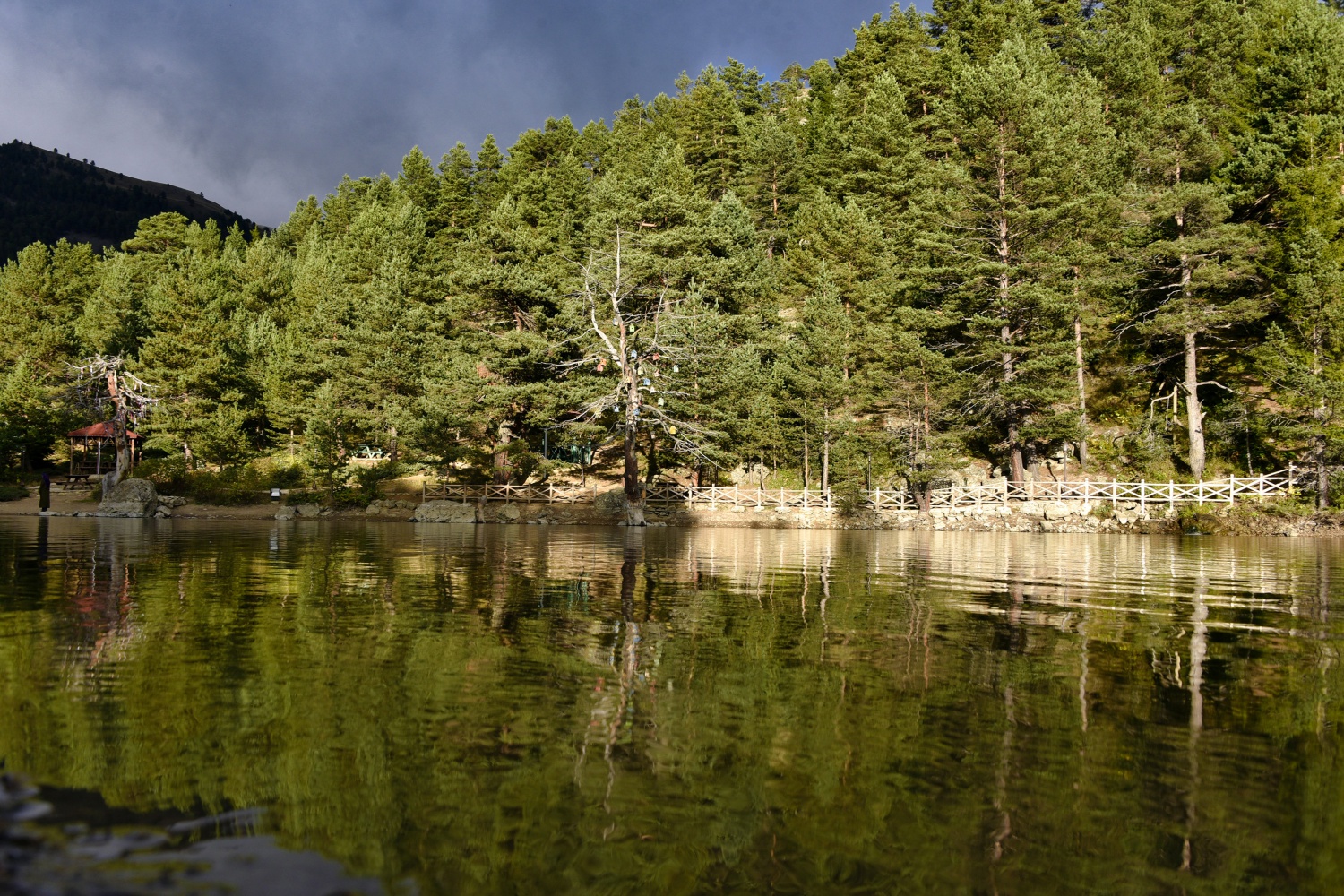 Limni Gölünde sonbahar yoğunluğu 17
