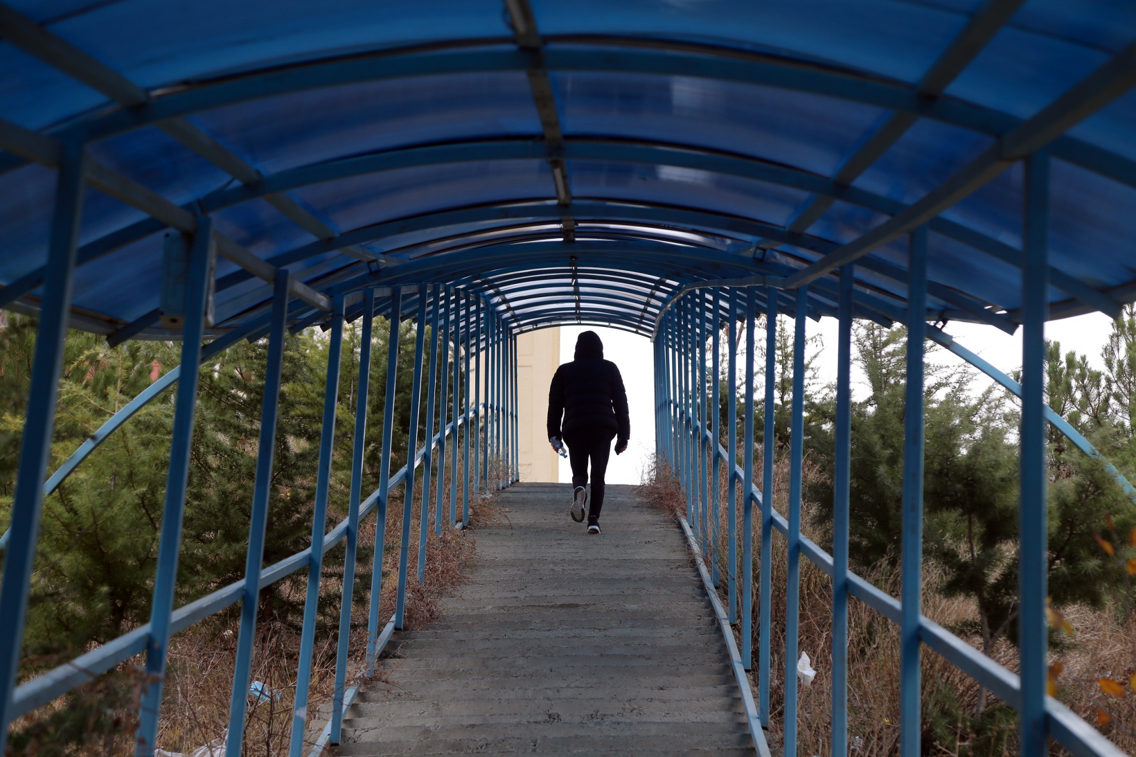 Gümüşhane’de yüzlerce basamaklık merdivenler şaşırtıyor 3