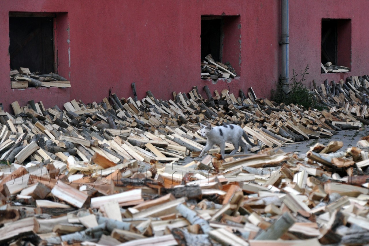 Kelkit'te Odun Çilesi Doğalgazla Bitecek 2