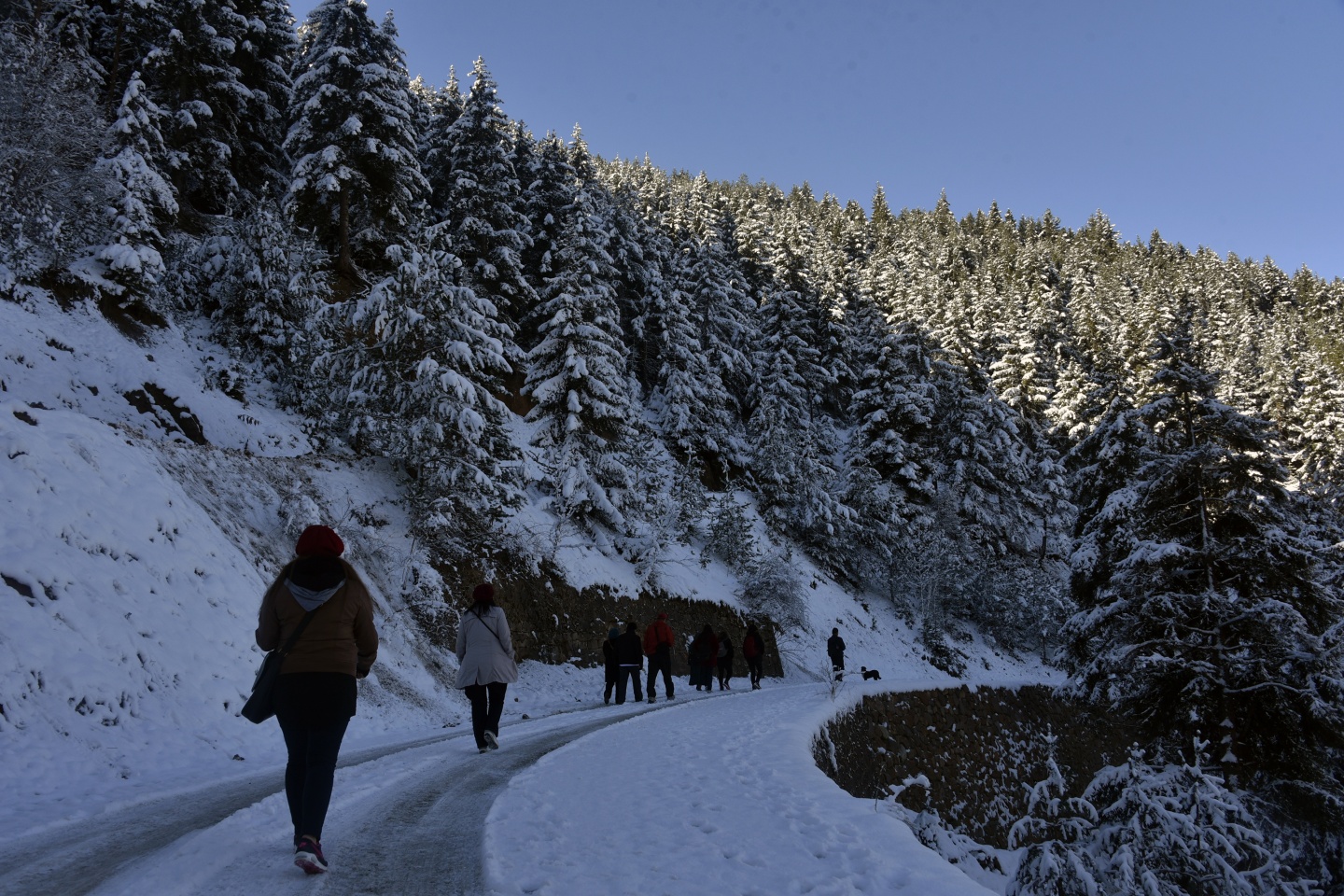 Organ bağışına doğa yürüyüşü ile dikkat çektiler 13