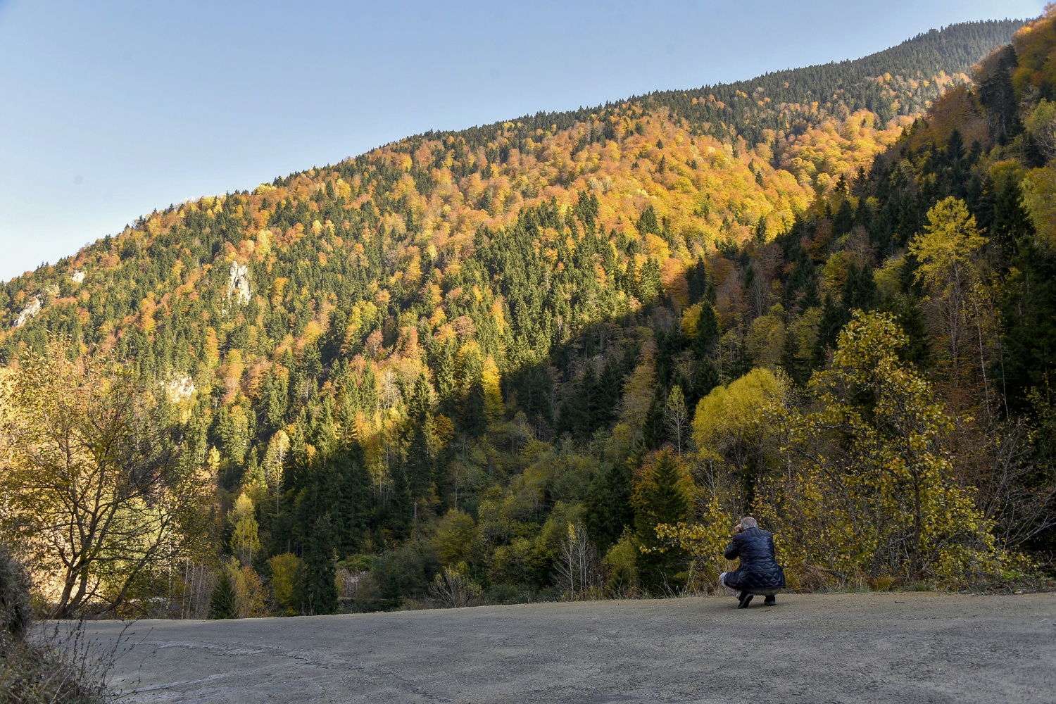 Örümcek Ormanlarında renk cümbüşü 29