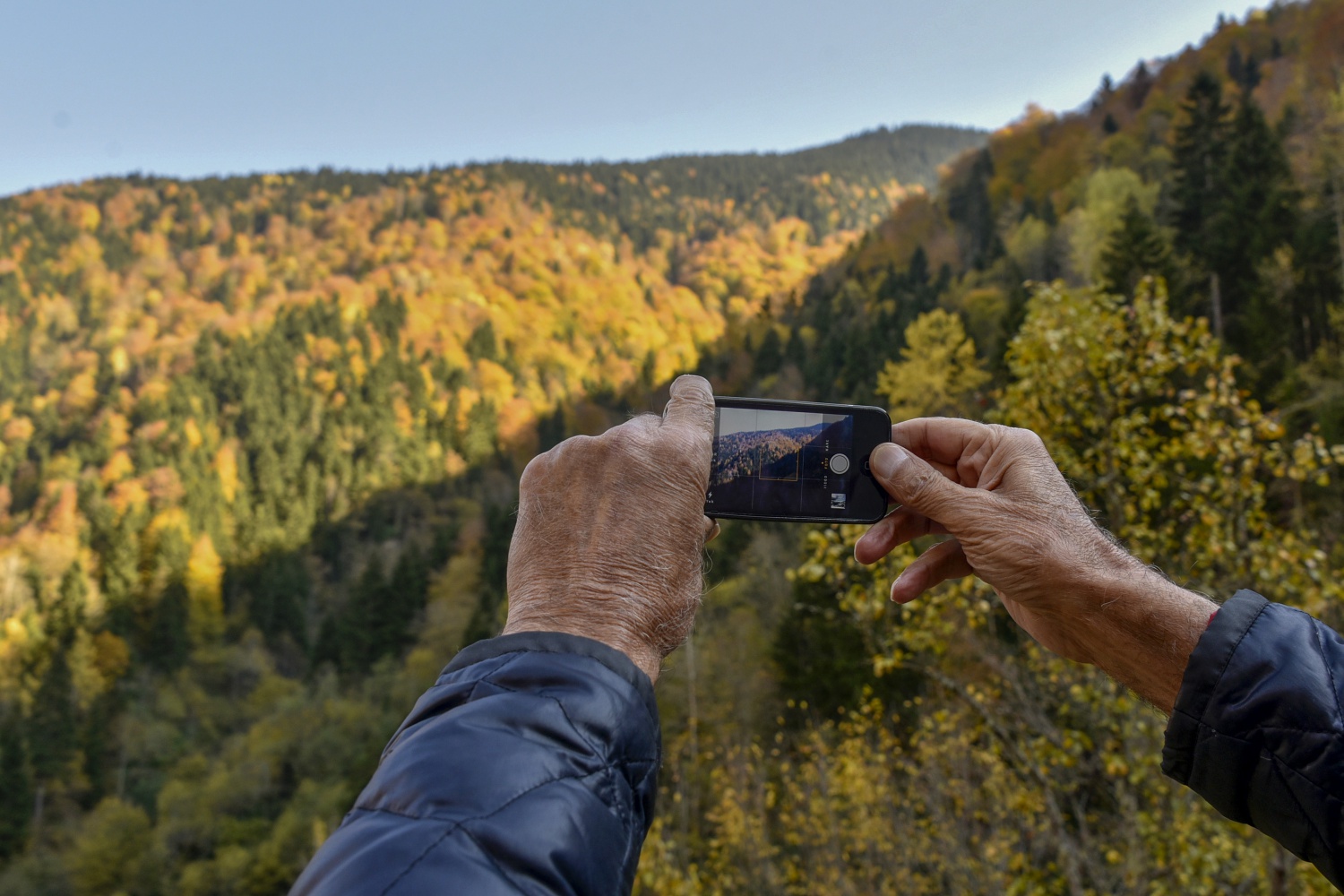 Örümcek Ormanlarında renk cümbüşü 24