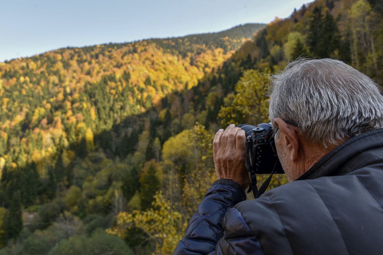 Örümcek Ormanlarında renk cümbüşü 27