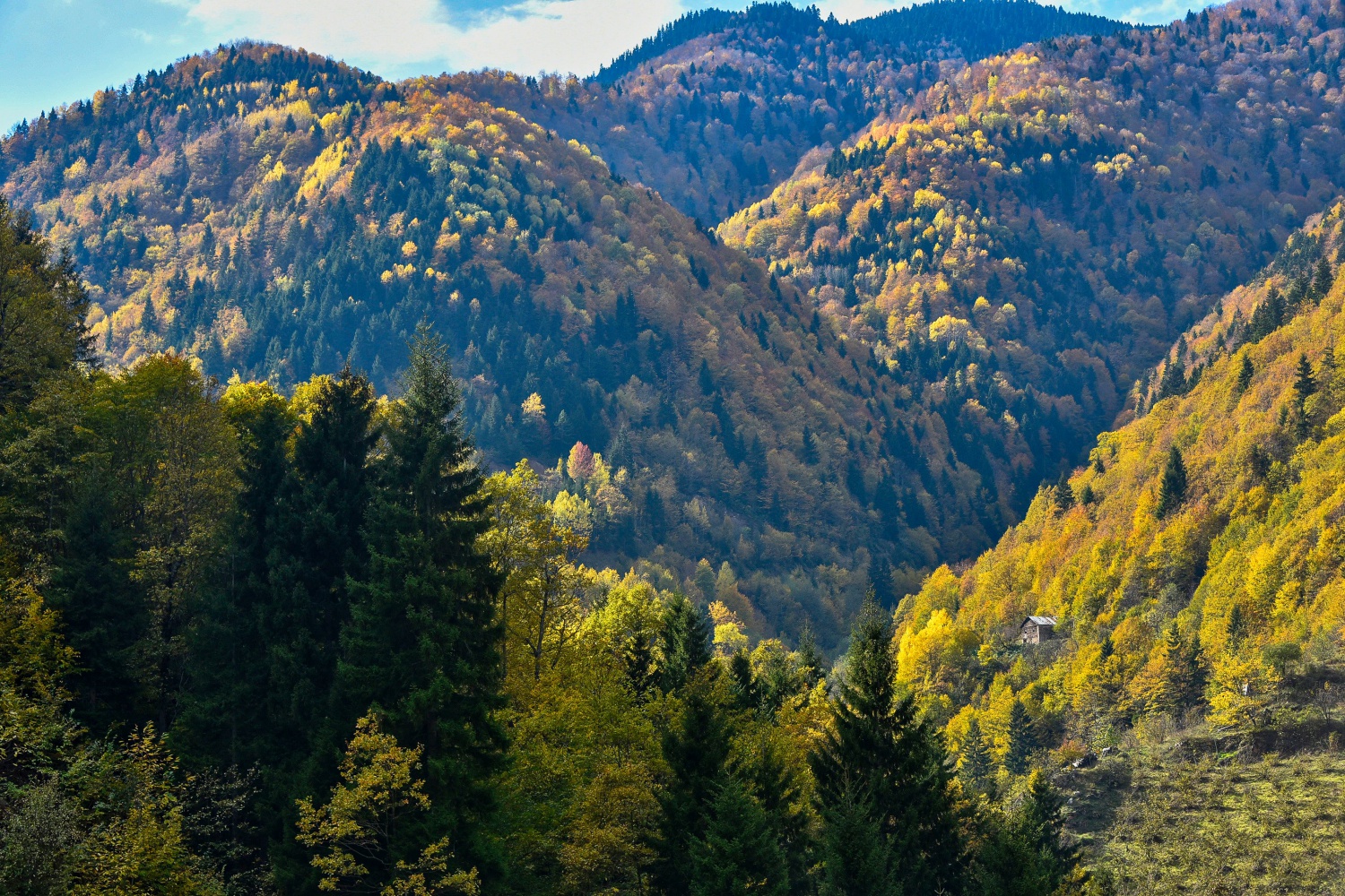 Örümcek Ormanlarında renk cümbüşü 15