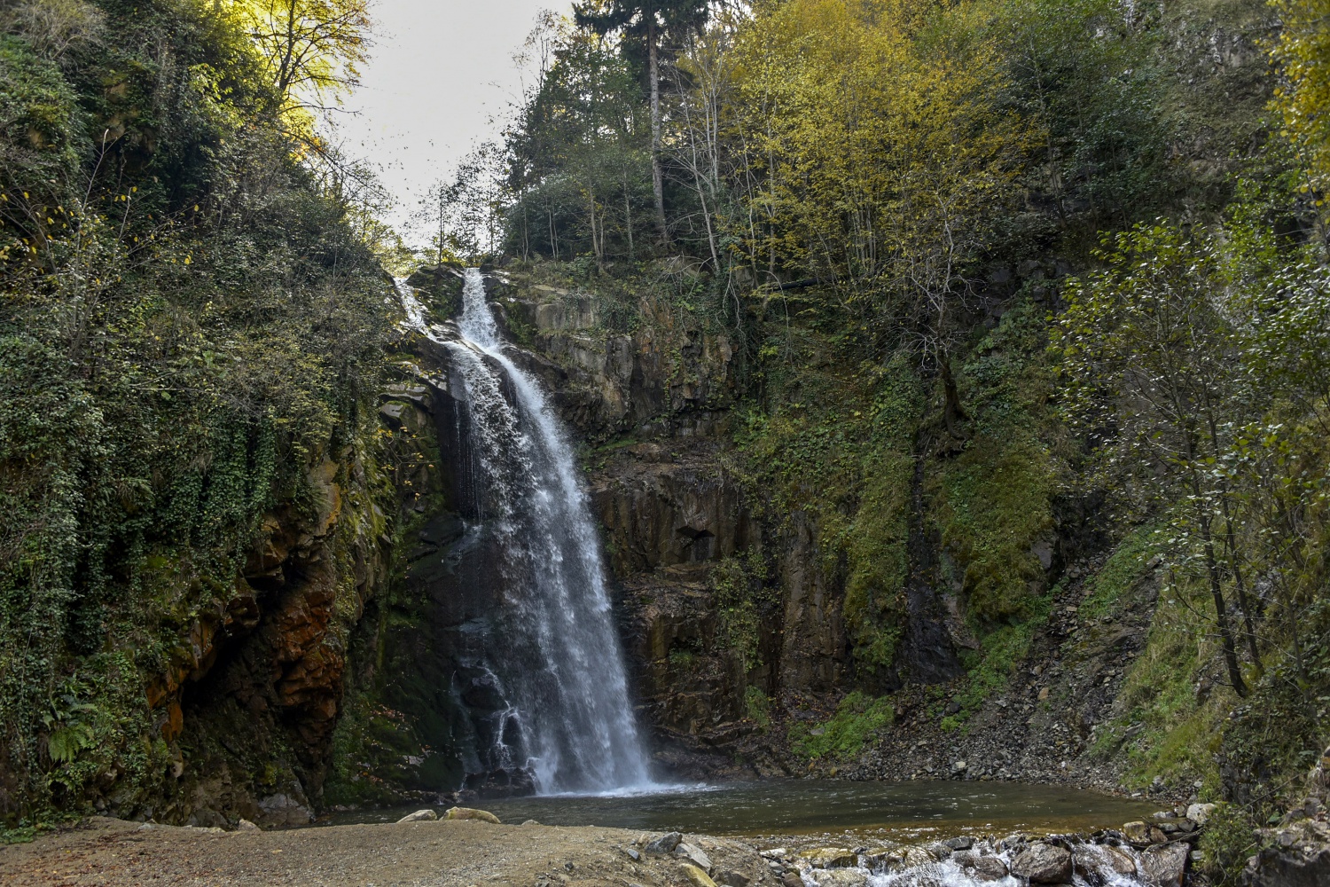 Örümcek Ormanlarında renk cümbüşü 35