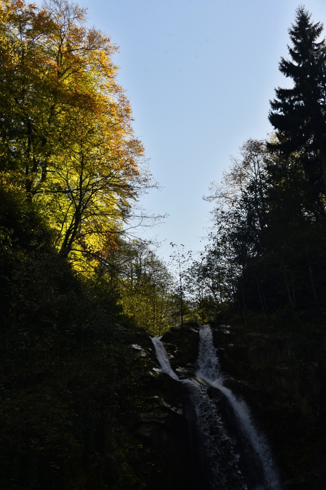 Örümcek Ormanlarında renk cümbüşü 37