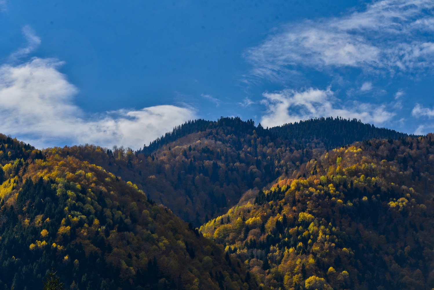Örümcek Ormanlarında renk cümbüşü 17