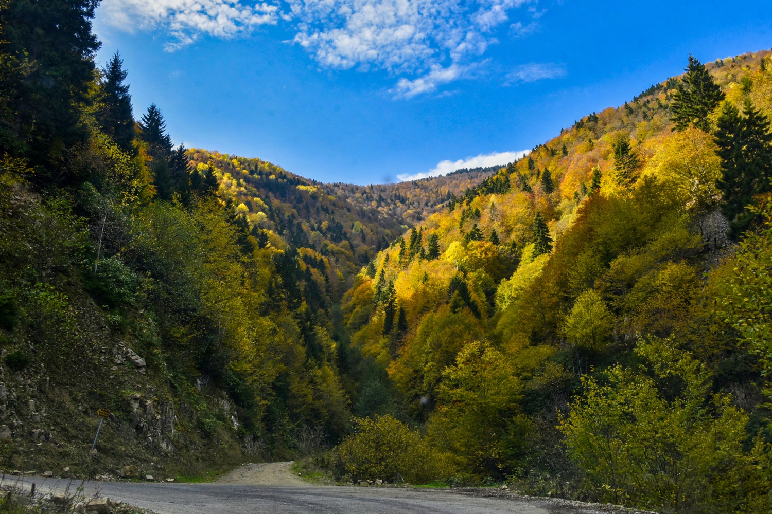 Örümcek Ormanlarında renk cümbüşü 19