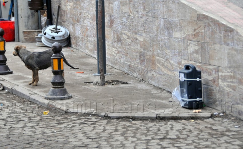 Gümüşhane'de Şüpheli Paket Alarmı 5