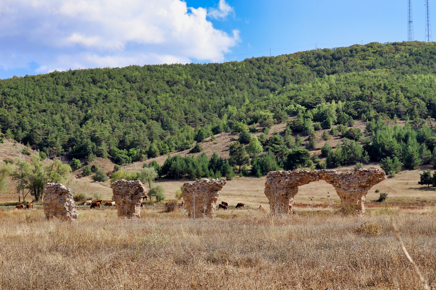 Yıllarca su kemeri sanıldı ama bazilika-kilise olduğu ortaya çıktı 18